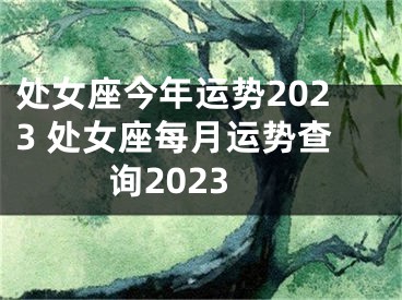 处女座今年运势2023 处女座每月运势查询2023