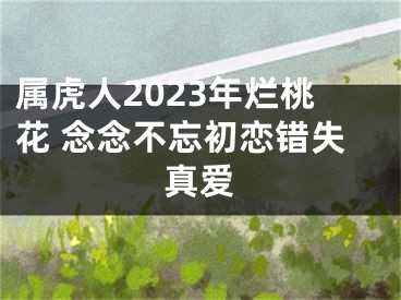 属虎人2023年烂桃花 念念不忘初恋错失真爱