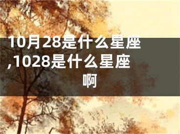 10月28是什么星座,1028是什么星座啊