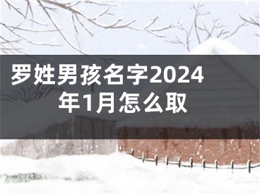 罗姓男孩名字2024年1月怎么取