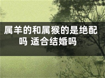 属羊的和属猴的是绝配吗 适合结婚吗