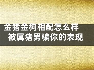 金猪金狗相配怎么样 被属猪男骗你的表现