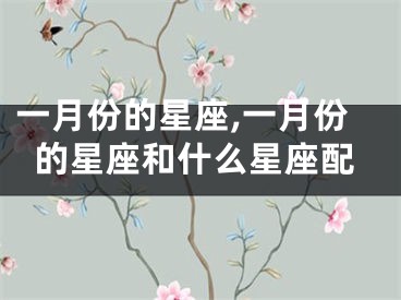 一月份的星座,一月份的星座和什么星座配