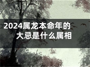 2024属龙本命年的大忌是什么属相