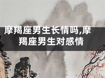 摩羯座男生长情吗,摩羯座男生对感情