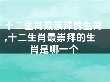 十二生肖最崇拜的生肖,十二生肖最崇拜的生肖是哪一个