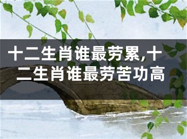 十二生肖谁最劳累,十二生肖谁最劳苦功高