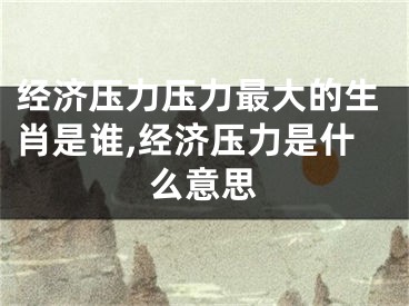 经济压力压力最大的生肖是谁,经济压力是什么意思