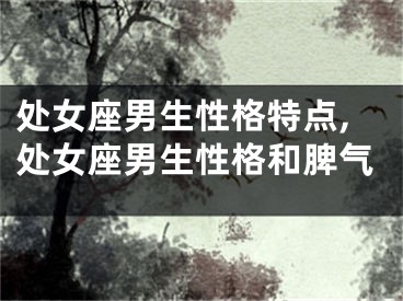 处女座男生性格特点,处女座男生性格和脾气