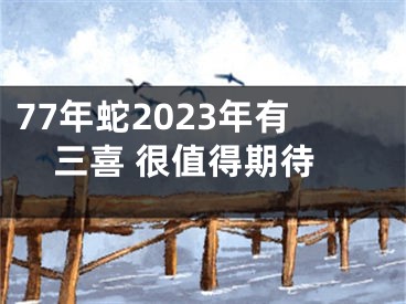 77年蛇2023年有三喜 很值得期待