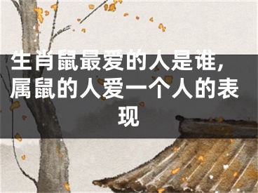 生肖鼠最爱的人是谁,属鼠的人爱一个人的表现