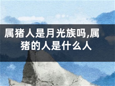 属猪人是月光族吗,属猪的人是什么人