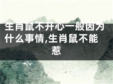生肖鼠不开心一般因为什么事情,生肖鼠不能惹