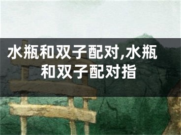 水瓶和双子配对,水瓶和双子配对指
