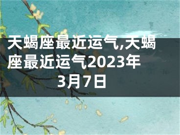 天蝎座最近运气,天蝎座最近运气2023年3月7日