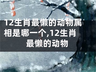 12生肖最懒的动物属相是哪一个,12生肖最懒的动物