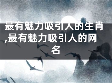 最有魅力吸引人的生肖,最有魅力吸引人的网名