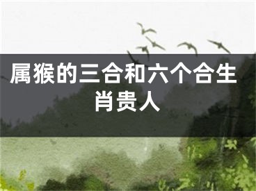 属猴的三合和六个合生肖贵人