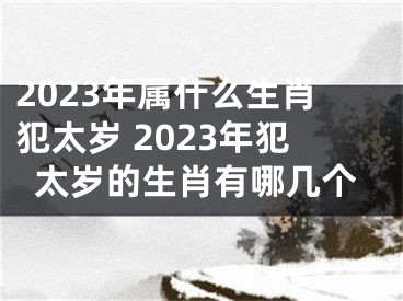 2023年属什么生肖犯太岁 2023年犯太岁的生肖有哪几个
