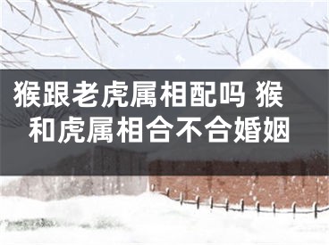 猴跟老虎属相配吗 猴和虎属相合不合婚姻
