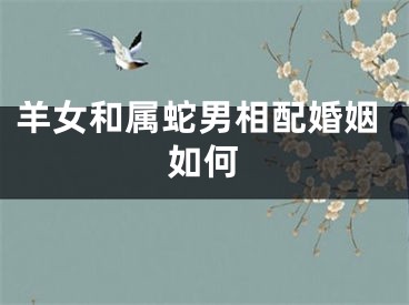 羊女和属蛇男相配婚姻如何