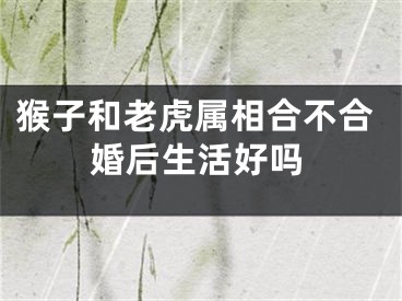 猴子和老虎属相合不合婚后生活好吗