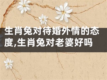 生肖兔对待婚外情的态度,生肖兔对老婆好吗