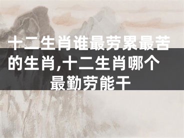 十二生肖谁最劳累最苦的生肖,十二生肖哪个最勤劳能干