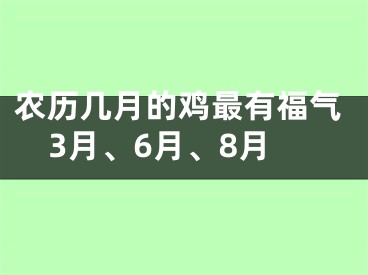 农历几月的鸡最有福气3月、6月、8月