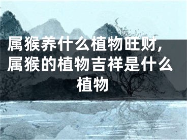 属猴养什么植物旺财,属猴的植物吉祥是什么植物