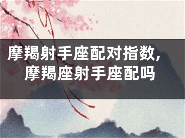 摩羯射手座配对指数,摩羯座射手座配吗