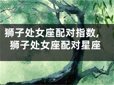 狮子处女座配对指数,狮子处女座配对星座