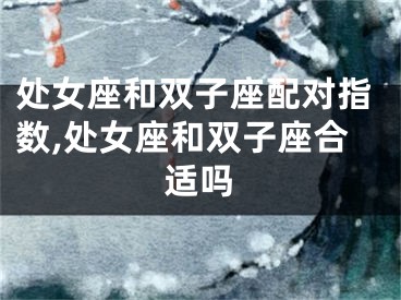 处女座和双子座配对指数,处女座和双子座合适吗