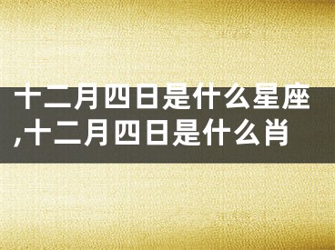 十二月四日是什么星座,十二月四日是什么肖