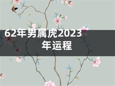 62年男属虎2023年运程