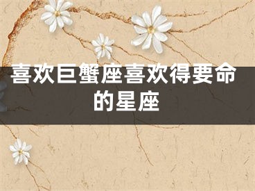 喜欢巨蟹座喜欢得要命的星座