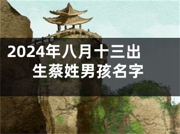 2024年八月十三出生蔡姓男孩名字