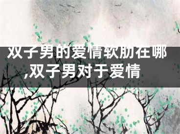 双子男的爱情软肋在哪,双子男对于爱情
