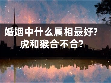 婚姻中什么属相最好?虎和猴合不合?