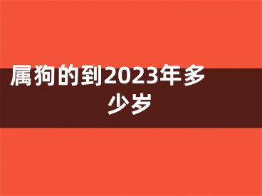属狗的到2023年多少岁