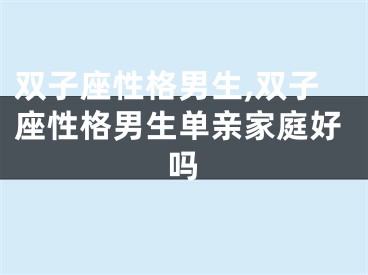 双子座性格男生,双子座性格男生单亲家庭好吗