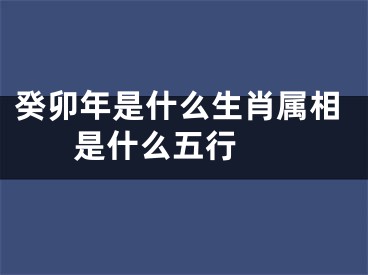 癸卯年是什么生肖属相 是什么五行 