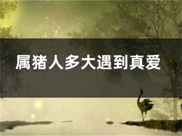 属猪人多大遇到真爱