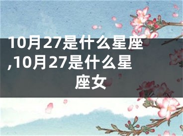 10月27是什么星座,10月27是什么星座女