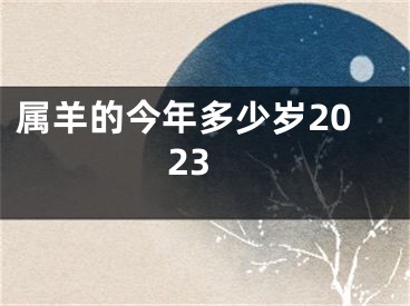 属羊的今年多少岁2023