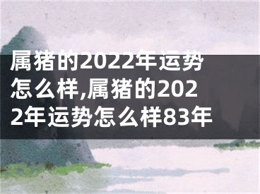 属猪的2022年运势怎么样,属猪的2022年运势怎么样83年