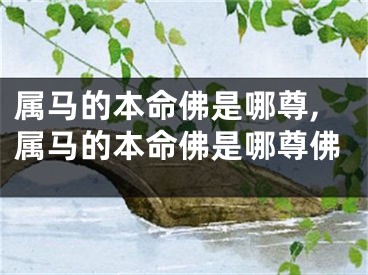 属马的本命佛是哪尊,属马的本命佛是哪尊佛