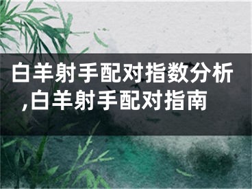 白羊射手配对指数分析,白羊射手配对指南