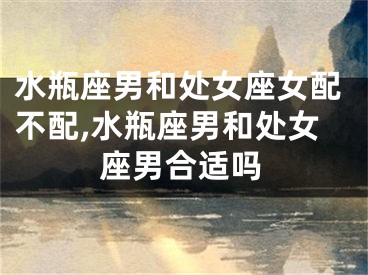 水瓶座男和处女座女配不配,水瓶座男和处女座男合适吗