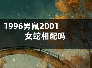 1996男鼠2001女蛇相配吗